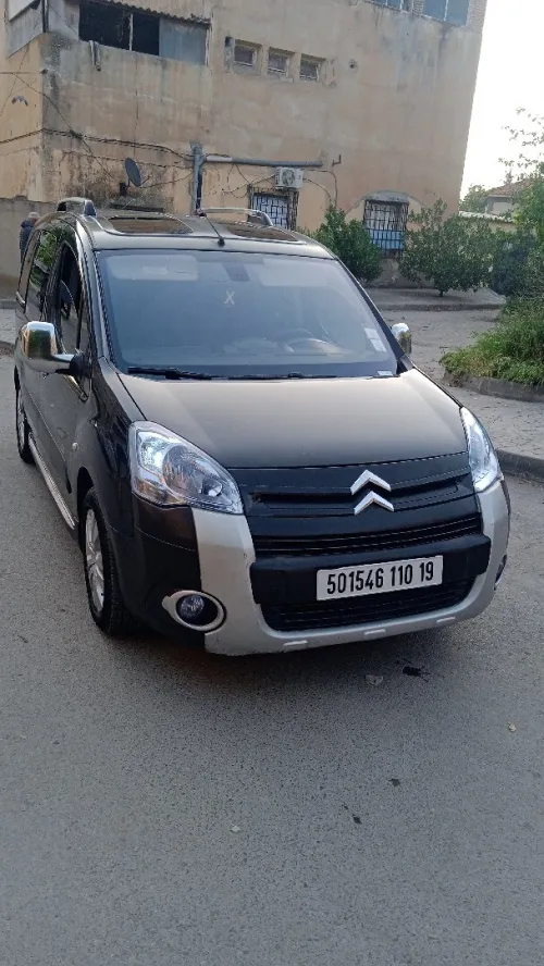 Citroen Berlingo 2010 Berlingo