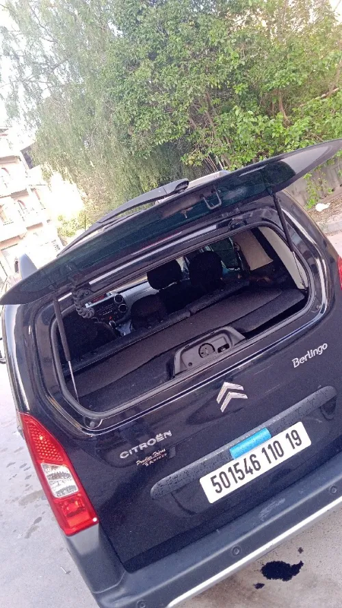 Citroen Berlingo 2010 Berlingo