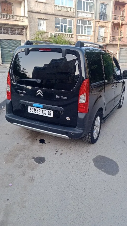 Citroen Berlingo 2010 Berlingo