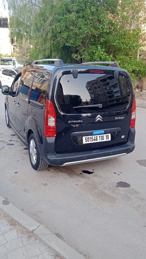Citroen Berlingo 2010 Berlingo