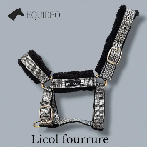 Matériel équitation licol fourrure  رسن بالريش