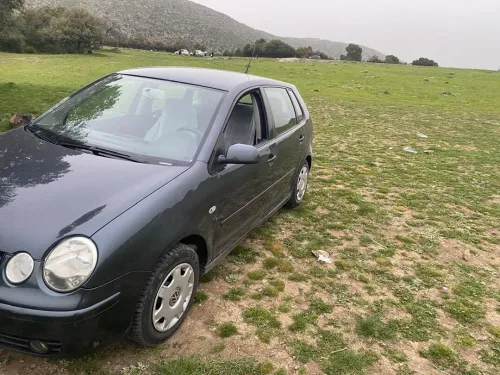Volkswagen Polo 2002 Polo