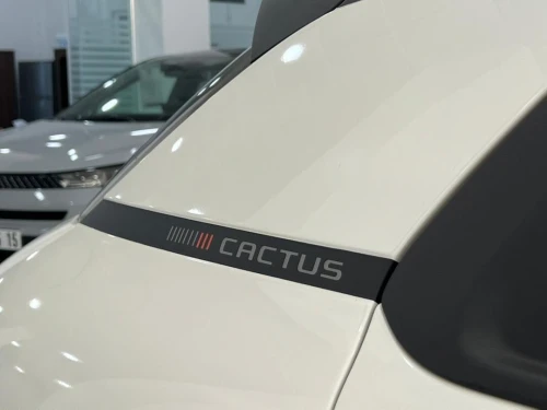 Citroen C4 2025 Cactus