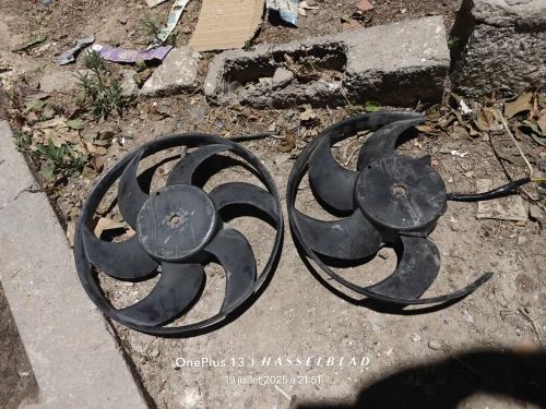 Deux ventilateurs radiateur 