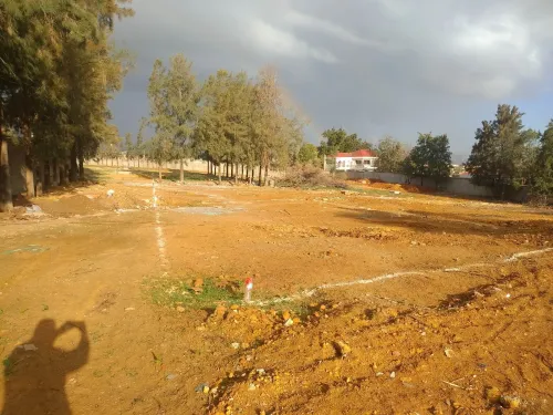 Vente Terrain Alger Saoula