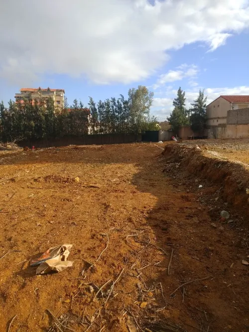 Vente Terrain Alger Saoula
