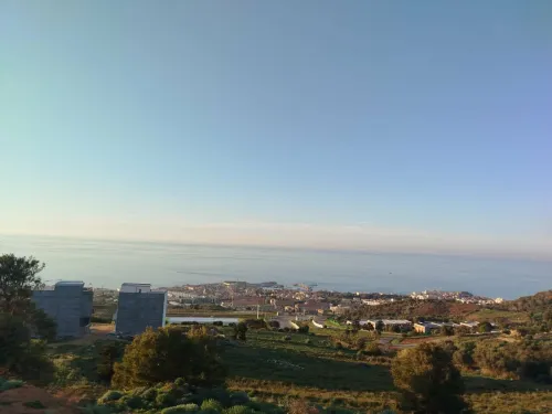 Vente Terrain Tipaza Cherchell