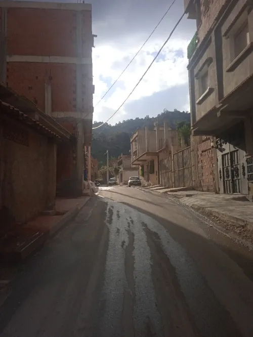 Vente Terrain Blida Bouarfa