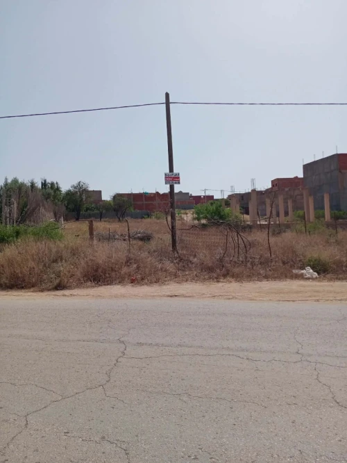 Vente Terrain Tlemcen Marsa ben mhidi 4
