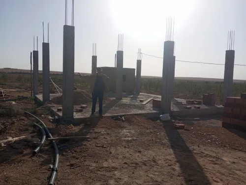 Vente Terrain Agricole Djelfa Ain oussara