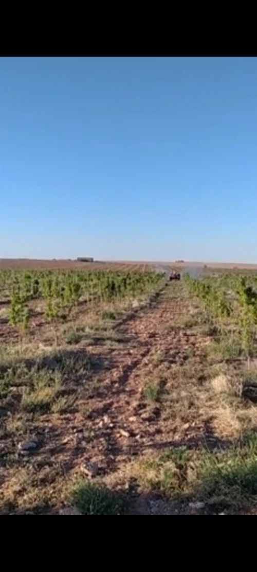Vente Terrain Agricole Djelfa Ain oussara
