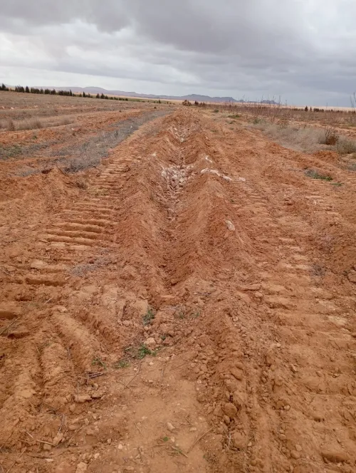 Vente Terrain Agricole Djelfa Ain oussara