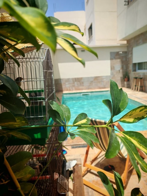 Location vacances Villa Aïn Témouchent Bou zedjar