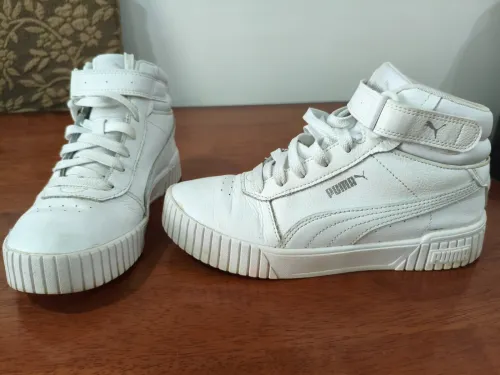 Puma Montante
