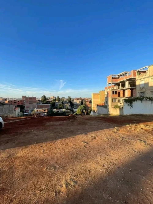 Vente Terrain Alger Saoula