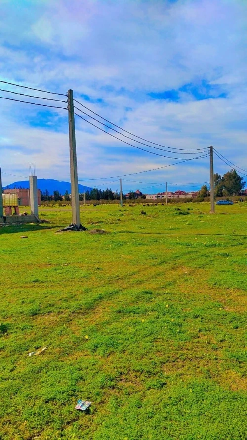 Vente Terrain Alger Sidi moussa