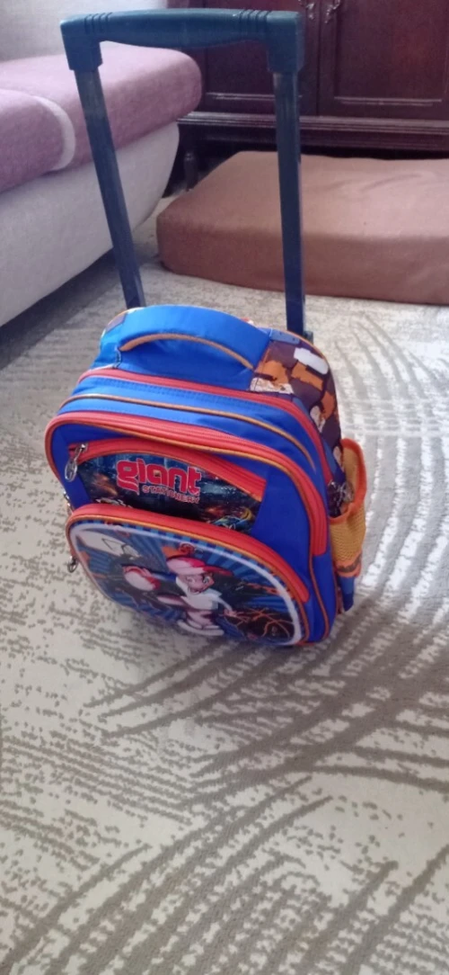 Sac a roulettes 