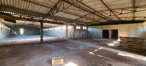 Vente Terrain Chlef Ouled fares