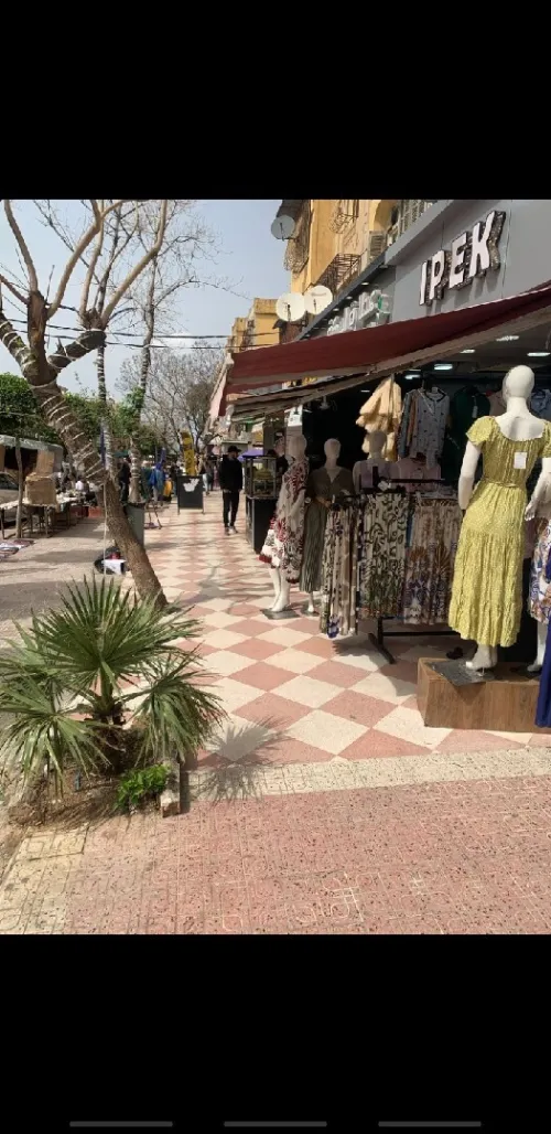 Vente Local Blida Ouled yaich