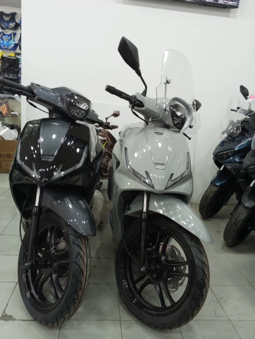Vms Corale 2026