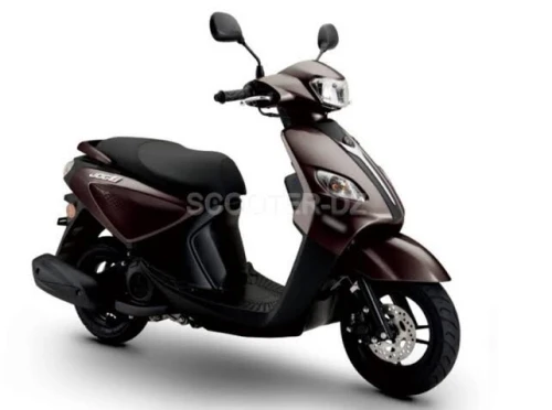 Vms Joci 2025