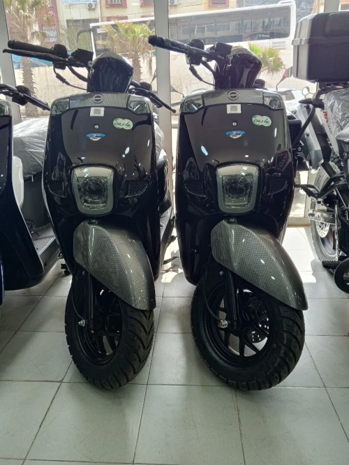 Vms Cuxi1 2026