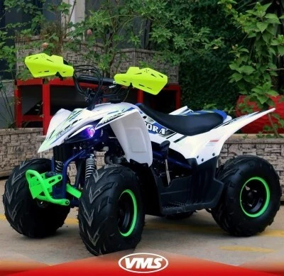 Vms Pentora 2026