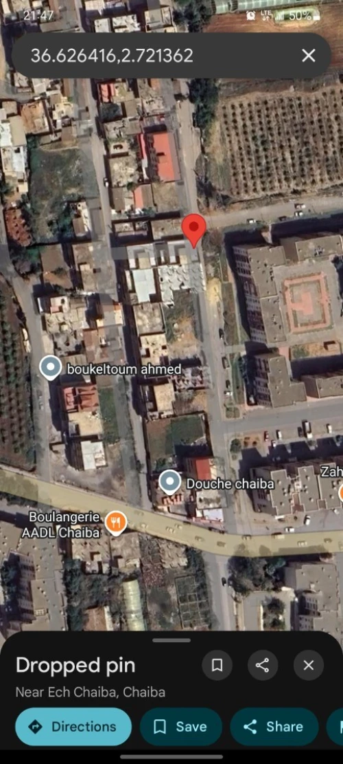 Vente Immeuble Tipaza Kolea