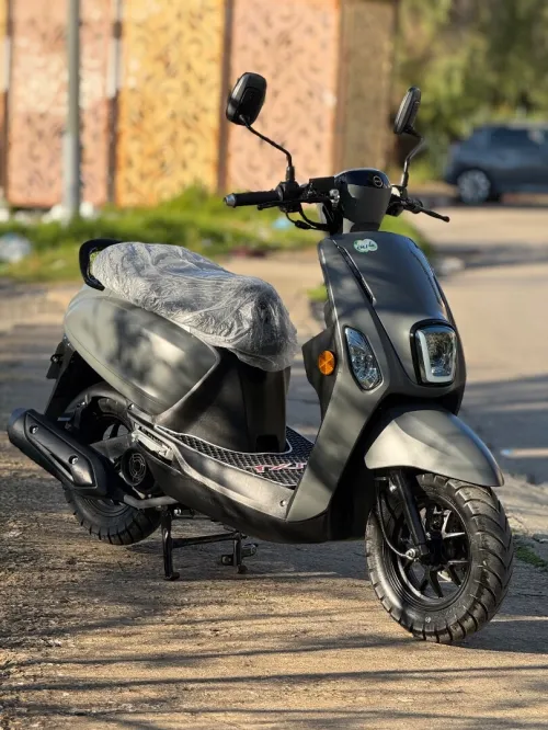 Vms Cuxi 2 2026