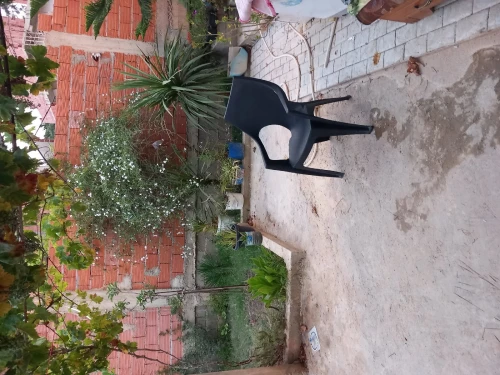Location vacances Appartement Chlef Tenes