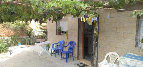 Location vacances Appartement F2 Chlef Tenes