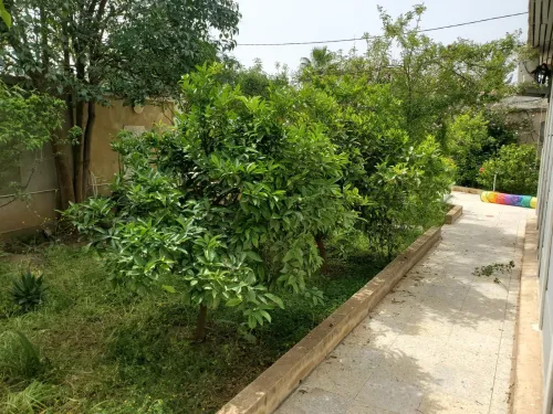 Vente Villa Blida Chebli