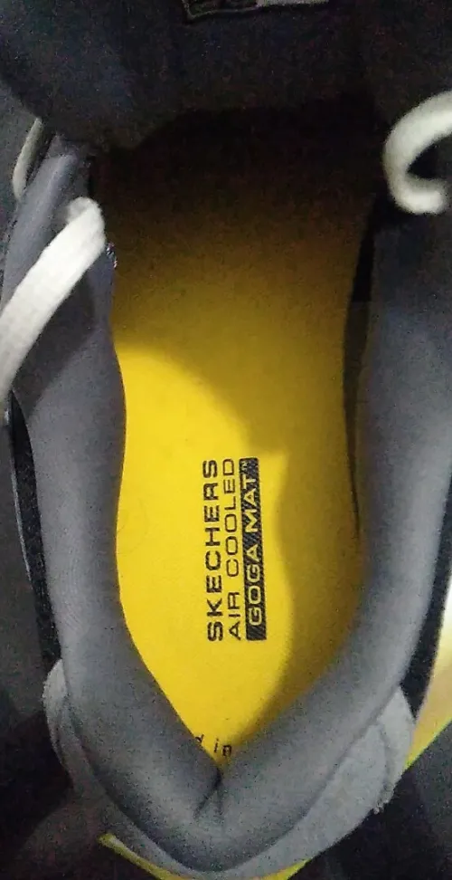 Basket  skechers 