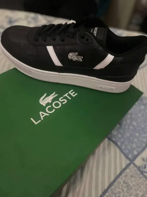 Basket Lacoste original pointure 43 