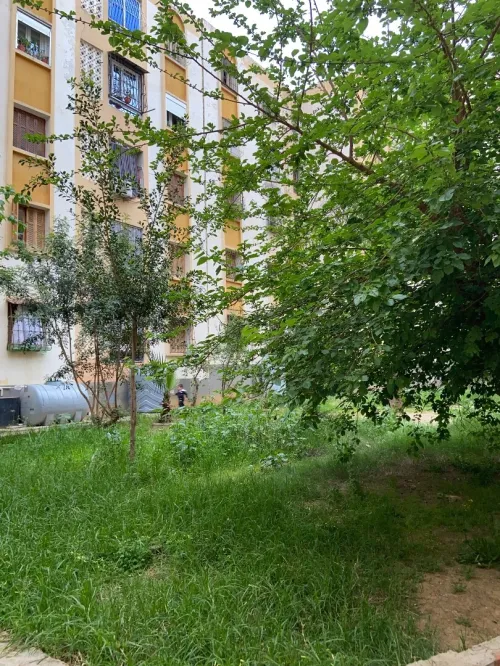 Vente Appartement F4 Blida Guerrouaou