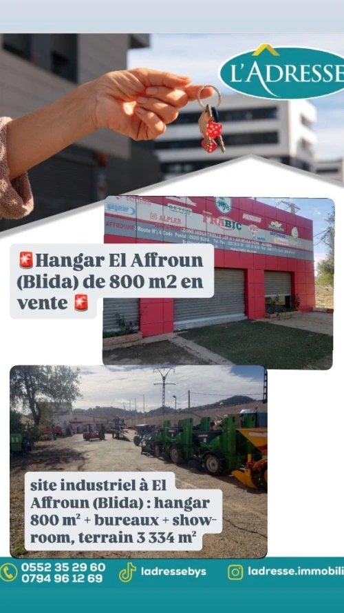 Vente Hangar Blida El affroun