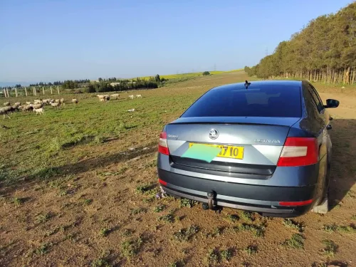 Skoda Octavia 2017 Elegance DGS