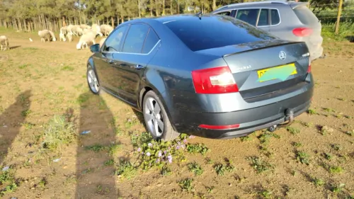 Skoda Octavia 2017 Elegance DGS