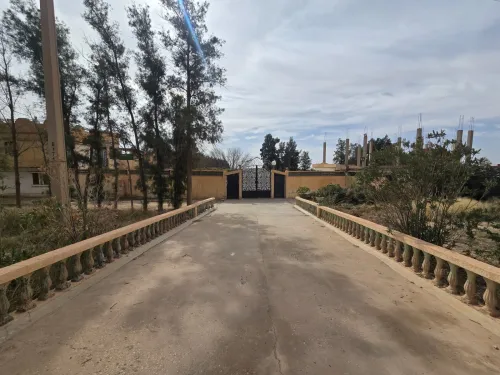 Vente Terrain Agricole Laghouat El assafia