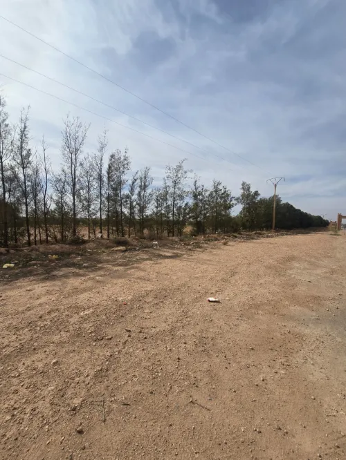 Vente Terrain Agricole Laghouat El assafia