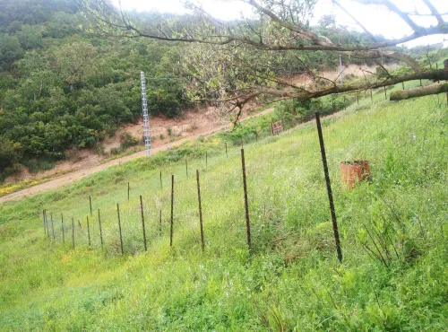 Vente Terrain Jijel El aouana