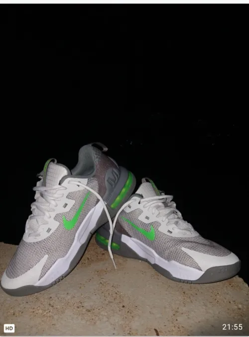 Basket Nike neuve 