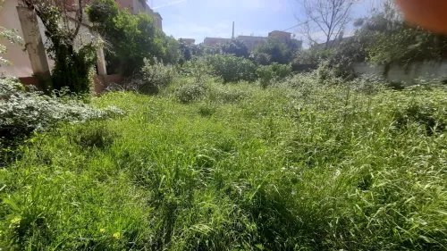 Vente Terrain Blida Larbaa