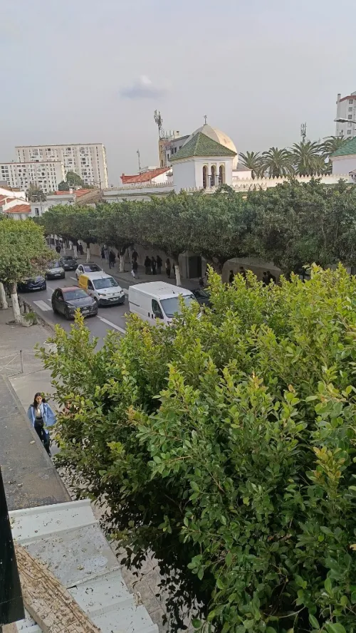 Vente Local Alger El biar