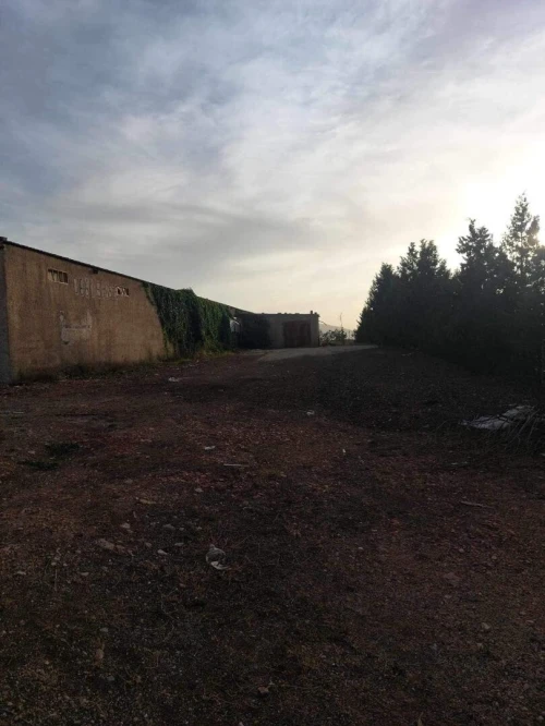Vente Terrain Agricole Batna Ouyoun el assafir