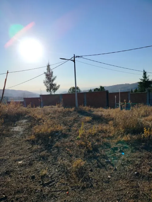 Vente Terrain Blida Djebara