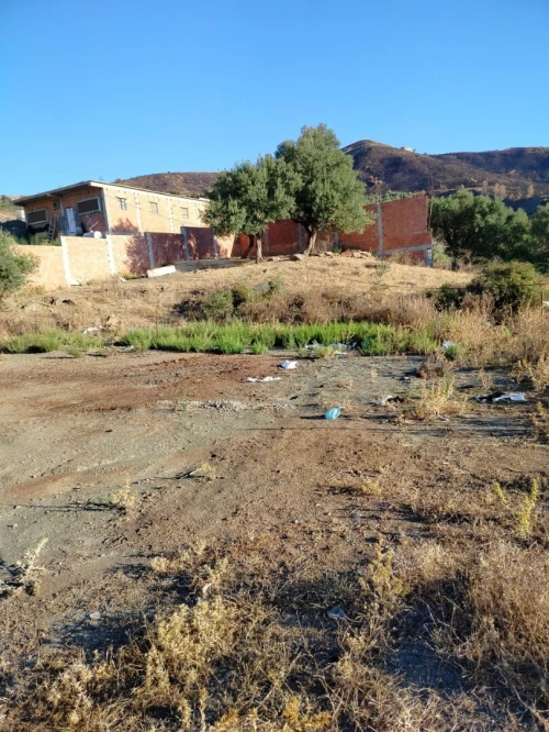 Vente Terrain Blida Djebara