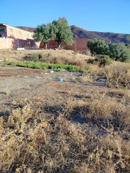 Vente Terrain Blida Djebara