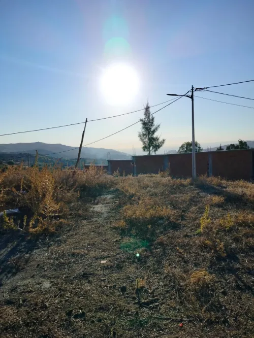 Vente Terrain Blida Djebara