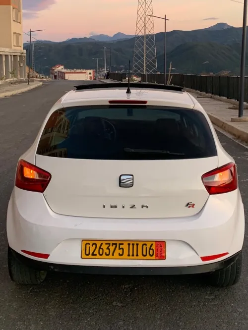 Seat Ibiza 2011 Loca